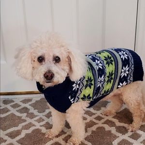 Meet your Posher, Mayra